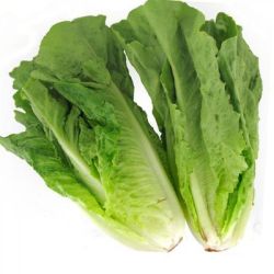Salade Romaine(Marque Lucas Top)  : sachet de 2 pièces
