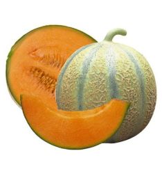 Melon Charentais Pc