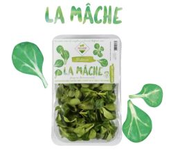 Salade Mâche Barquette 125 GR