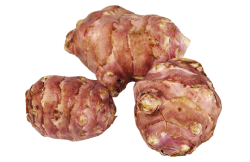 Topinambour - Lot 500 GR 