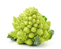 Chou Romanesco Pièce 