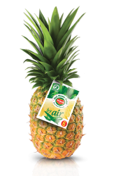 Ananas AVION Del Monte Top Top (Env 1.5/2 kg pièce) Prix au Kg