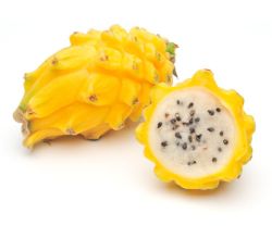 Pitaya Jaune (Fruit du Dragon) Pièce 