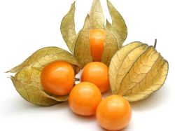 Physalis Barquette de 125 GR