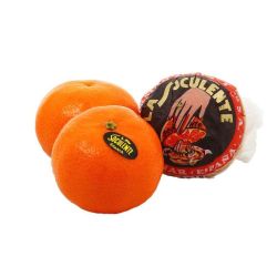 Clémentine Soculente Kg